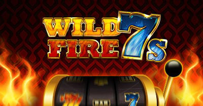 Pledoo wild fire 7
